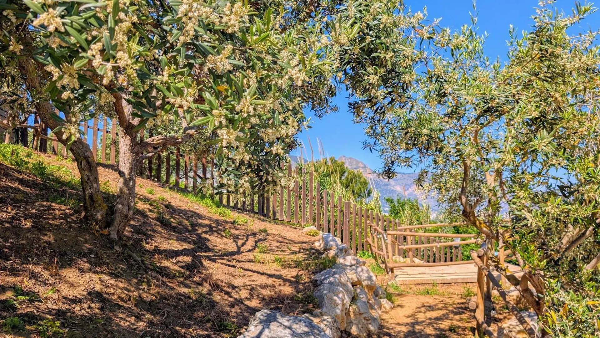 Ci Vulia B&B - Sicilia Sea, Pool, Bbq, Tv, Wi-Fi Alcamo Marina Italië